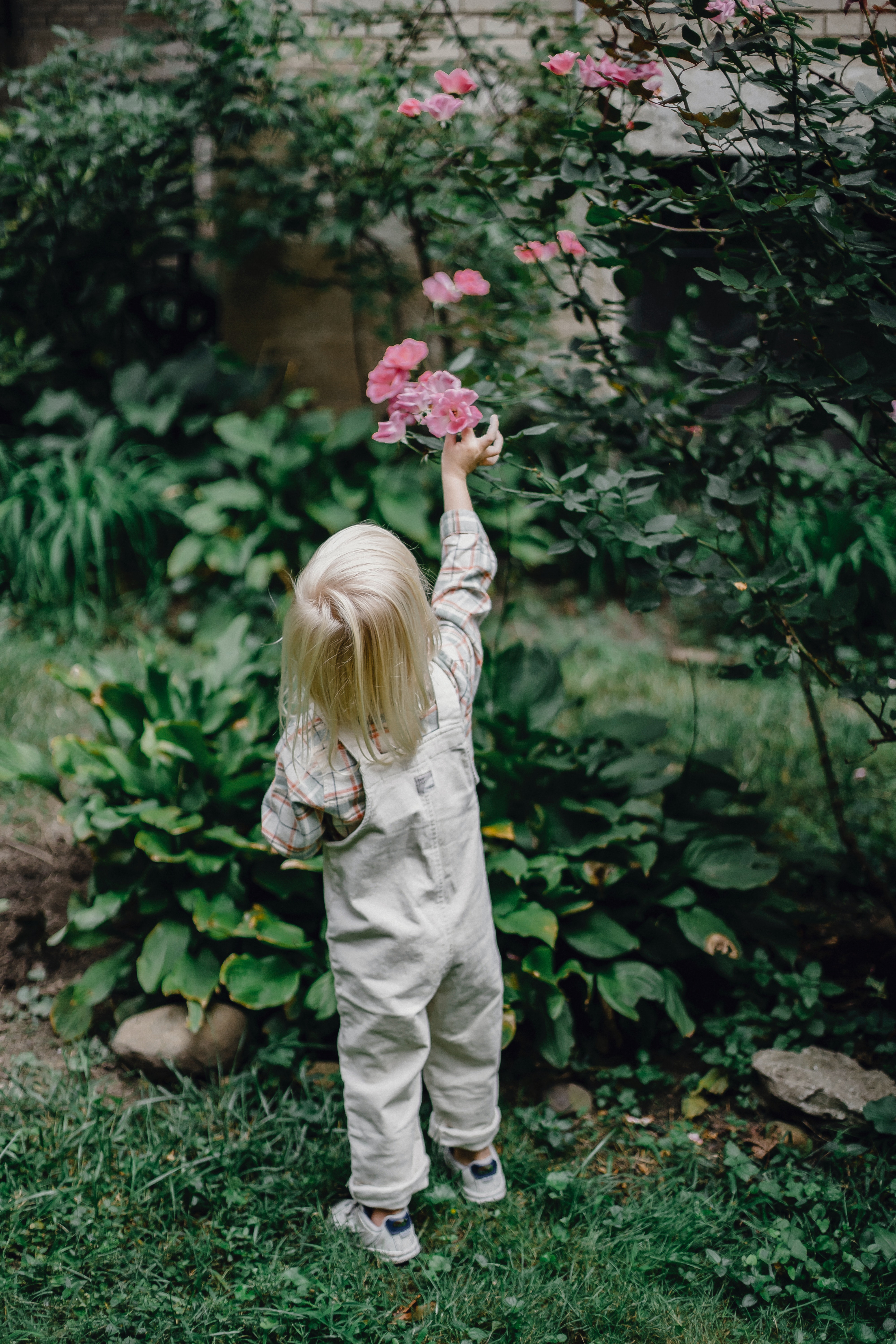 https://www.pexels.com/photo/unrecognizable-toddler-picking-flowers-in-green-garden-5624248/